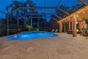 911 PINE LAKE DRIVE, TARPON SPRINGS, FL 34688 - MLS#MFRTB8405273