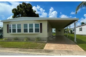 215 RED MAPLE DRIVE, PALM HARBOR, FL 34684 - MLS#MFRTB8405281