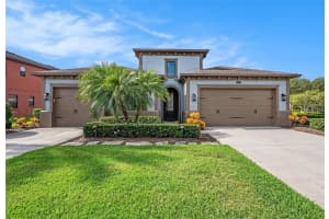 28640 Tavira Ct, WESLEY CHAPEL