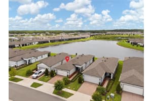 5503 Blue Crush Bnd, LAND O LAKES