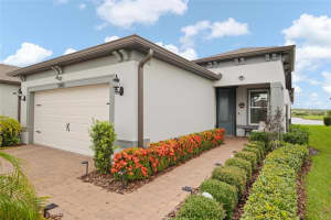 5503 BLUE CRUSH BEND, LAND O LAKES, FL 34638 - MLS#MFRTB8405321