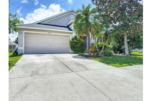 30616 LANESBOROUGH CIRCLE, WESLEY CHAPEL, FL 33543 - MLS#MFRTB8405340