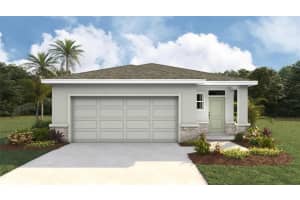 6791 Broad River Ave, LAND O LAKES
