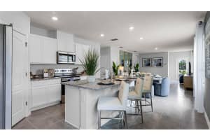 6791 BROAD RIVER AVENUE, LAND O LAKES, FL 34638 - MLS#MFRTB8405368