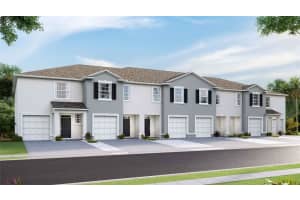 8094 Swan Mist Way, WESLEY CHAPEL