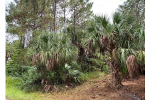 1372 HARVARD STREET, PALM BAY, FL 32908 Sold 08/15/25