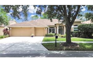 19024 Dove Creek Dr, TAMPA