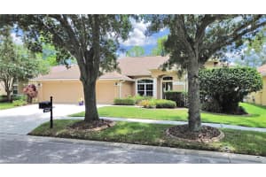 19024 DOVE CREEK DRIVE, TAMPA, FL 33647 Sold 09/16/25