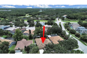 19024 DOVE CREEK DRIVE, TAMPA, FL 33647 Sold 09/16/25