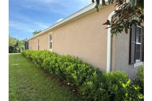 33193 SHADOW BRANCH LANE, WESLEY CHAPEL, FL 33545 - MLS#MFRTB8405435