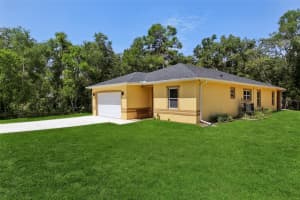 33433 Loop Ct, WEBSTER