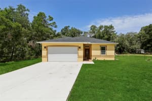 33433 LOOP COURT, WEBSTER, FL 33597 - MLS#MFRTB8405444
