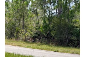 DELAND AVE, INDIAN LAKE ESTATES, FL 33855 - MLS#MFRTB8405453