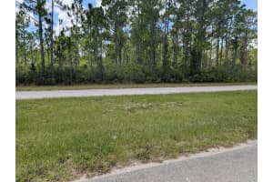 DELAND AVE, INDIAN LAKE ESTATES, FL 33855 - MLS#MFRTB8405453