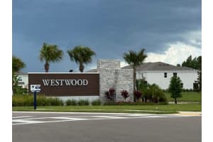17229 AMBER ASPEN WAY, LAND O LAKES, FL 34638 - MLS#MFRTB8405467
