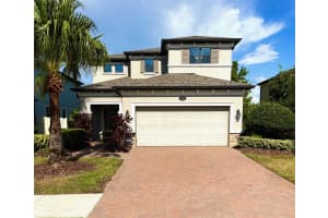 1668 Nature View Dr, LUTZ