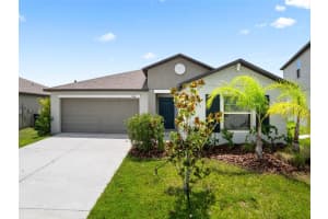 13646 Wild Ginger St, RIVERVIEW