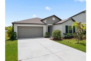 13646 WILD GINGER STREET, RIVERVIEW, FL 33579 - MLS#MFRTB8405477