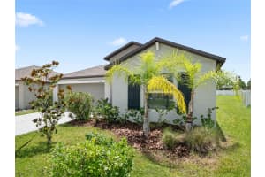 13646 WILD GINGER STREET, RIVERVIEW, FL 33579 - MLS#MFRTB8405477