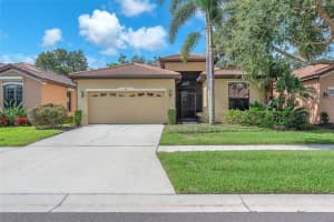 321 Silver Falls Dr, APOLLO BEACH