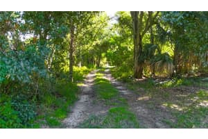 12808 ARCADIA LANE, RIVERVIEW, FL 33579 - MLS#MFRTB8405535