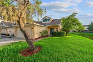 20318 Oak Key Ct, TAMPA