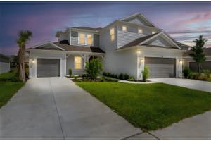 2347 OVERFALLS PLACE, WESLEY CHAPEL, FL 33543 - MLS#MFRTB8405552