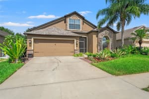 6631 BOULDER RUN LOOP, WESLEY CHAPEL, FL 33545 - MLS#MFRTB8405574