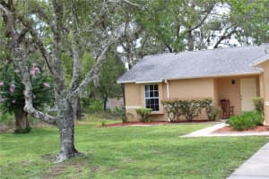 10526 GIFFORD DRIVE, SPRING HILL, FL 34608 - MLS#MFRTB8405597
