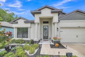 12591 VANDER WAY, NEW PORT RICHEY, FL 34654 - MLS#MFRTB8405637