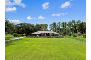 515 W Lutz Lake Fern Rd, LUTZ