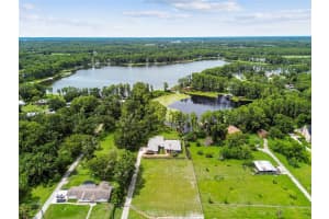 515 LUTZ LAKE FERN ROAD, LUTZ, FL 33548 - MLS#MFRTB8405653
