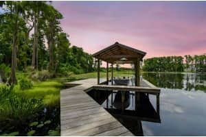 515 LUTZ LAKE FERN ROAD, LUTZ, FL 33548 - MLS#MFRTB8405653