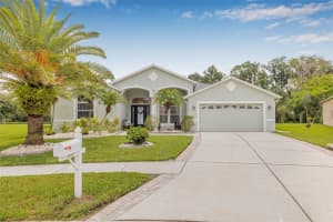 3842 AUSTIN RANGE DRIVE, LAND O LAKES, FL 34639 Sold 08/07/25