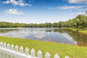 3842 AUSTIN RANGE DRIVE, LAND O LAKES, FL 34639 Sold 08/07/25