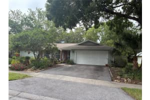 155 Woodcutter Ln, PALM HARBOR