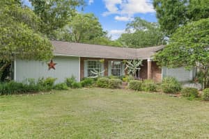 155 WOODCUTTER LANE, PALM HARBOR, FL 34683 - MLS#MFRTB8405699