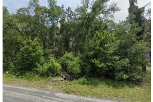 6490 LYNN STREET, INVERNESS, FL 34452 - MLS#MFRTB8405714