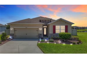 31542 TANSY BEND, WESLEY CHAPEL, FL 33545 Sold 08/26/25