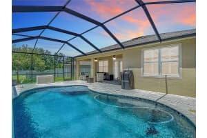 31542 TANSY BEND, WESLEY CHAPEL, FL 33545 Sold 08/26/25