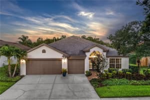 10231 Millport Dr, TAMPA
