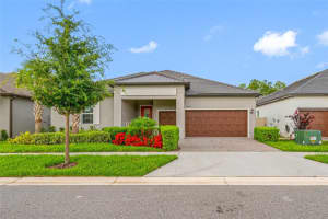 10639 Bailey Pearl Ct, LAND O LAKES