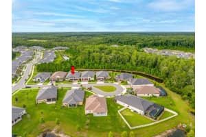 10639 BAILEY PEARL COURT, LAND O LAKES, FL 34638 - MLS#MFRTB8405766