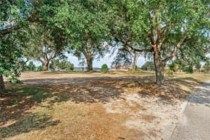 Lot 29 STONELAKE RANCH BLVD, THONOTOSASSA, FL 33592 - MLS#MFRTB8405768