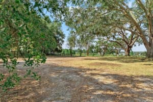 Lot 29 STONELAKE RANCH BLVD, THONOTOSASSA, FL 33592 - MLS#MFRTB8405768