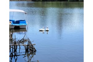 6975 EDGEWATER DRIVE, NEW PORT RICHEY, FL 34652 - MLS#MFRTB8405799