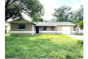 8307 Tupelo Dr, TAMPA