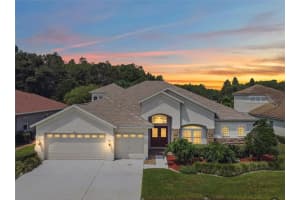 5321 Silver Charm Ter, WESLEY CHAPEL