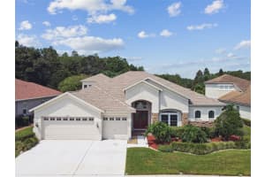 5321 SILVER CHARM TERRACE, WESLEY CHAPEL, FL 33544 - MLS#MFRTB8405847