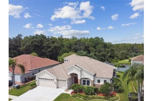 5321 SILVER CHARM TERRACE, WESLEY CHAPEL, FL 33544 - MLS#MFRTB8405847